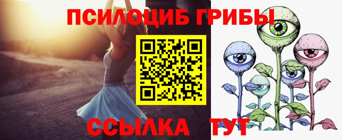 Псилоцибиновые грибы Cubensis Вичуга