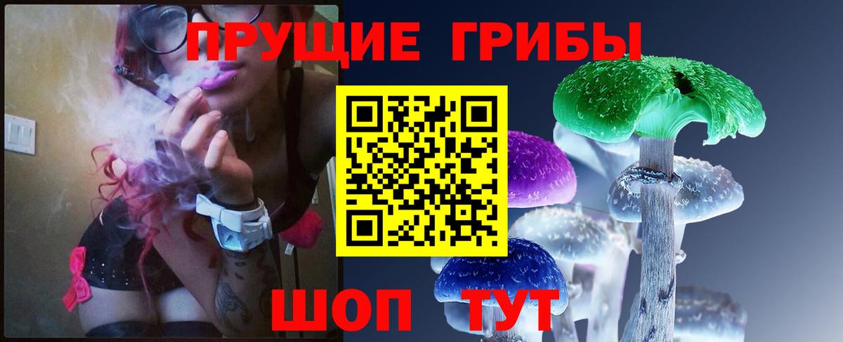Вичуга  как найти закладки  Вход с VPN  Псилоцибиновые грибы прущие грибы 